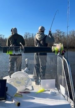 Fishing in Fairfield, North Carolina