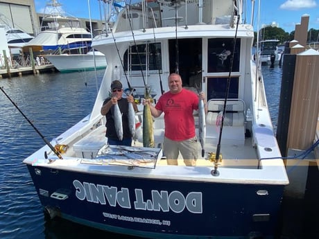 Barracuda, Kingfish, Mahi Mahi, Skipjack Tuna Fishing in Pompano Beach, Florida