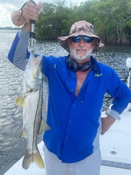 Snook Fishing in Fort Myers, Florida