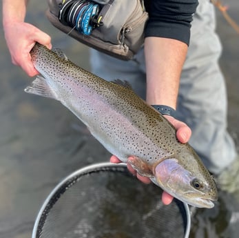 Fishing in Hume, California