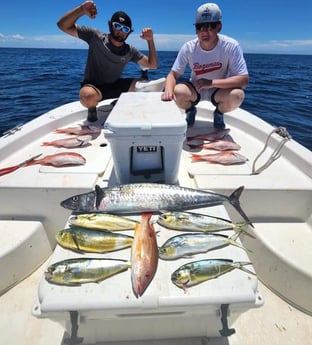 Kingfish, Lane Snapper, Mahi Mahi Fishing in Panama City, Florida