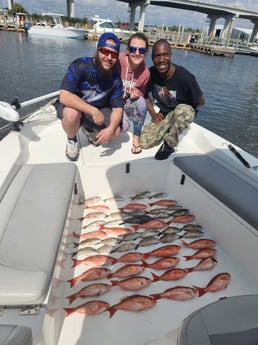 Black Seabass, Scup, Vermillion Snapper Fishing in Pensacola, Florida