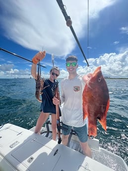 Hogfish, Lobster Fishing in Fort Lauderdale, Florida
