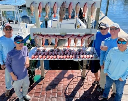 Red Snapper, Scamp Grouper, Scup / Porgy, Triggerfish Fishing in Destin, Florida