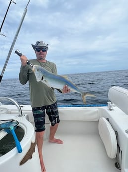Yellowtail Amberjack Fishing in Tavernier, Florida