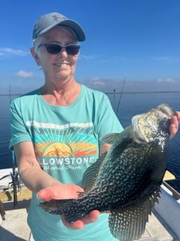 Crappie Fishing in Port Orange, Florida