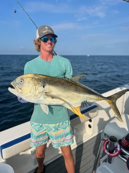 Jack Crevalle Fishing in Destin, Florida