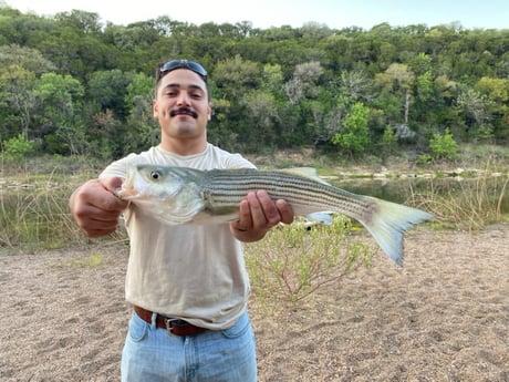 Striped Bass Fishing in Granbury, Texas