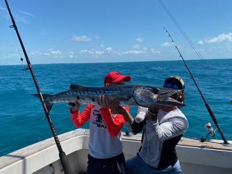 Barracuda Fishing in Key Largo, Florida