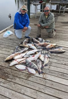 Black Drum, Flounder, Redfish Fishing in Sulphur, Louisiana