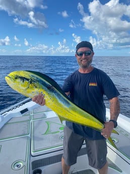 Mahi Mahi / Dorado fishing in Key Biscayne, Florida