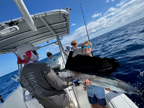 Sailfish Fishing in