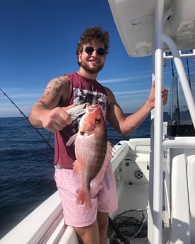 Red Snapper Fishing in Panama City Beach, Florida