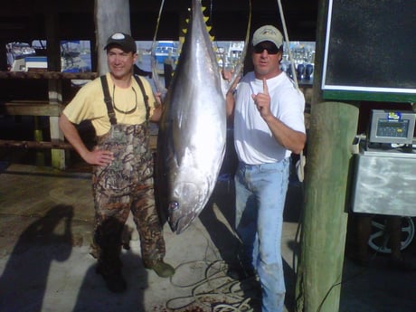 Bluefin Tuna Fishing in Boothville-Venice, Louisiana