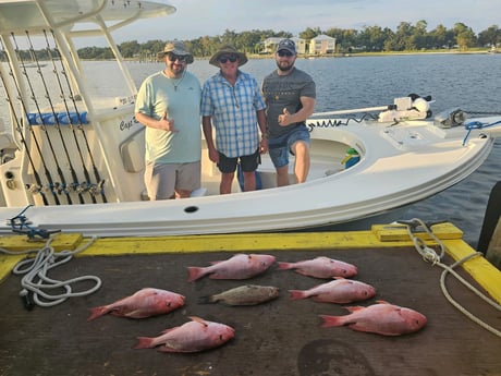 Gag Grouper, Red Snapper Fishing in Panama City, Florida