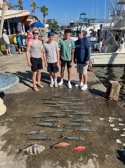Mangrove Snapper, Red Snapper, Sheepshead, Spanish Mackerel Fishing in Panama City Beach, Florida