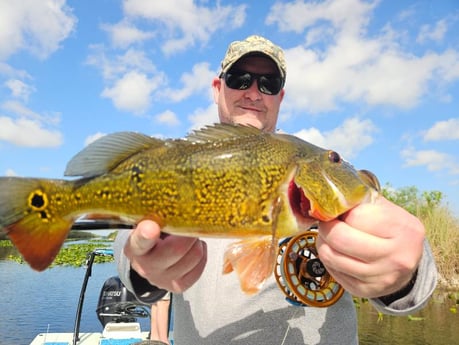 Fishing in Pembroke Pines, Florida