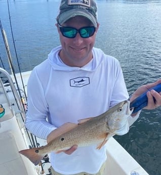 Redfish Fishing in Beaufort, North Carolina