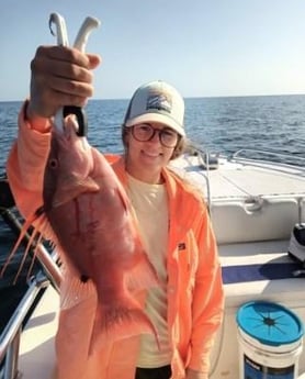 Hogfish Fishing in Clearwater, Florida