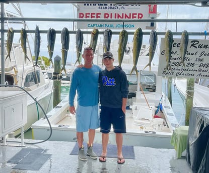 Mahi Mahi Fishing in Islamorada, Florida