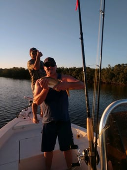 Little Tunny / False Albacore fishing in Naples, Florida
