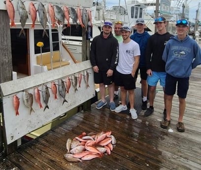 Amberjack, Scup, Triggerfish, Vermillion Snapper Fishing in Destin, Florida