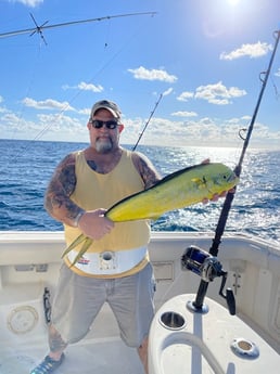 Mahi Mahi / Dorado Fishing in Fort Pierce, Florida