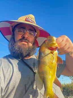 Fishing in Pembroke Pines, Florida