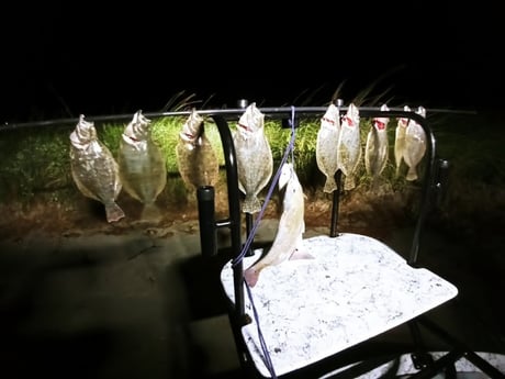 Flounder, Redfish Fishing in Rio Hondo, Texas
