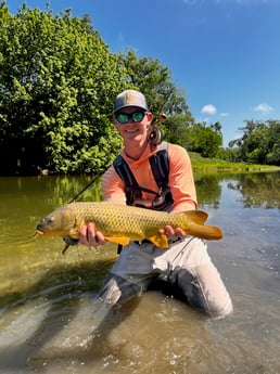 Carp Fishing in Austin, Texas