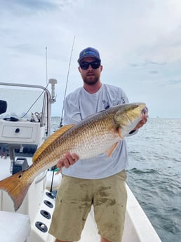 Redfish Fishing in Pensacola, Florida