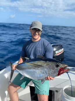 Blackfin Tuna Fishing in Tulum, Quintana Roo