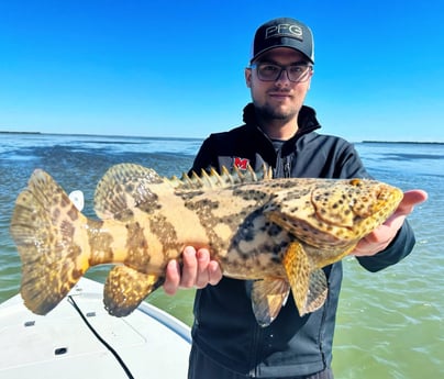 Goliath Grouper Fishing in Tavernier, Florida