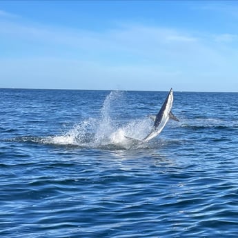 Fishing in Destin, Florida