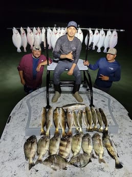 Flounder, Redfish, Sheepshead, Speckled Trout / Spotted Seatrout Fishing in Rio Hondo, Texas