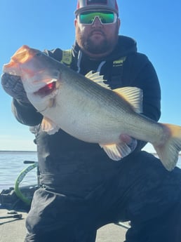 Fishing in Alba, Texas