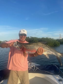 Tarpon Fishing in Tampa, Florida