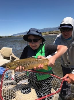 Brown Trout fishing in Sheridan, Montana