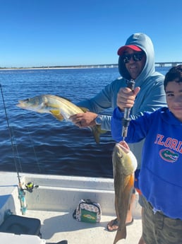 Redfish, Snook Fishing in St. Augustine, Florida