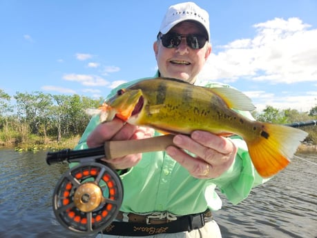 Fishing in Pembroke Pines, Florida