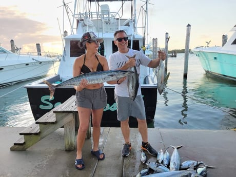 Blackfin Tuna, False Albacore, Kingfish, Wahoo Fishing in Port Isabel, Texas
