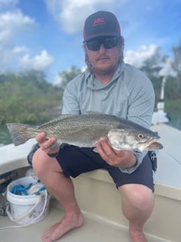 Snook fishing in Palm Coast, Florida