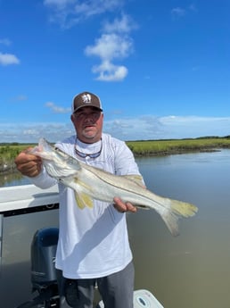 Snook fishing in St. Augustine, Florida
