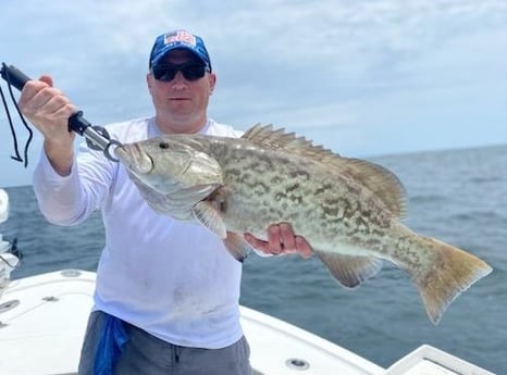 Gag Grouper Fishing in Jacksonville, Florida