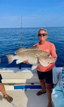 Red Grouper Fishing in Cape Coral, Florida