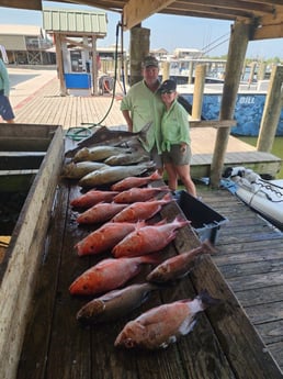 Cobia, Mangrove Snapper, Red Snapper, Tripletail Fishing in Boothville-Venice, LA, USA
