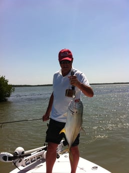 Jack Crevalle fishing in Fort Myers Beach, Florida