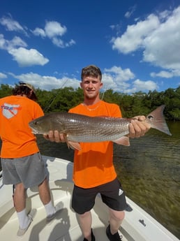 Redfish Fishing in Tampa, Florida