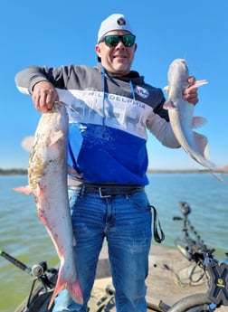 Blue Catfish fishing in Dallas, Texas