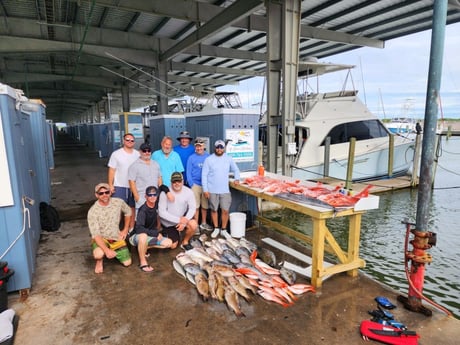Red Snapper, Scamp Grouper, Wahoo, Yellowfin Tuna, Yellowtail Amberjack Fishing in Galveston, Texas